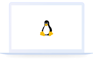 Linux