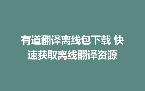 有道翻译离线包下载 快速获取离线翻译资源