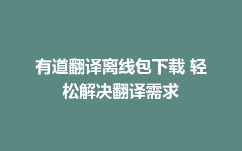 有道翻译离线包下载 轻松解决翻译需求