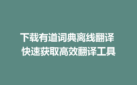 下载有道词典离线翻译 快速获取高效翻译工具