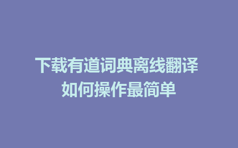 下载有道词典离线翻译 如何操作最简单