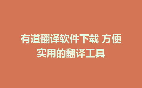 有道翻译软件下载 方便实用的翻译工具