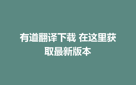 有道翻译下载 在这里获取最新版本