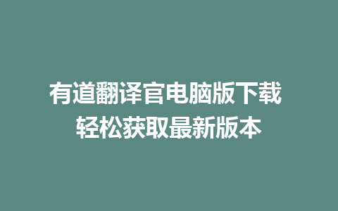 有道翻译官电脑版下载 轻松获取最新版本