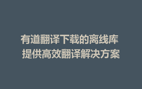 有道翻译下载的离线库 提供高效翻译解决方案