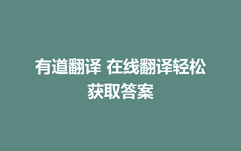 有道翻译 在线翻译轻松获取答案