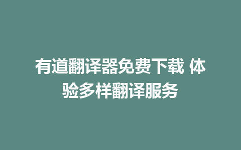 有道翻译器免费下载 体验多样翻译服务