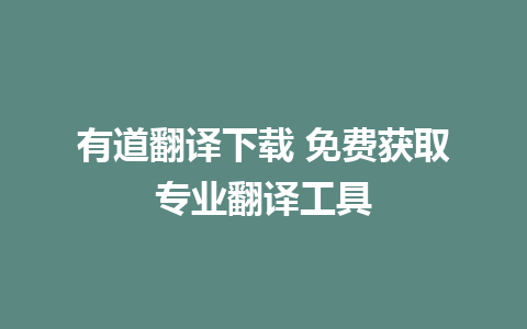 有道翻译下载 免费获取专业翻译工具