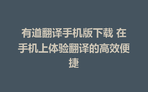 有道翻译手机版下载 在手机上体验翻译的高效便捷