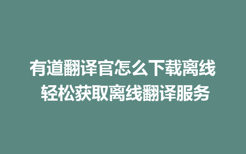 有道翻译官怎么下载离线 轻松获取离线翻译服务