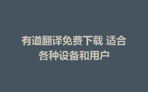 有道翻译免费下载 适合各种设备和用户