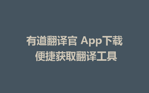 有道翻译官 App下载 便捷获取翻译工具