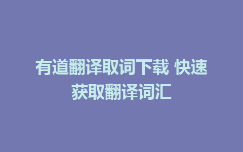 有道翻译取词下载 快速获取翻译词汇