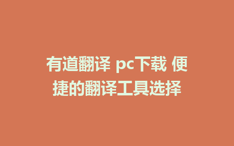 有道翻译 pc下载 便捷的翻译工具选择