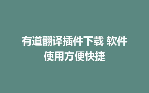 有道翻译插件下载 软件使用方便快捷