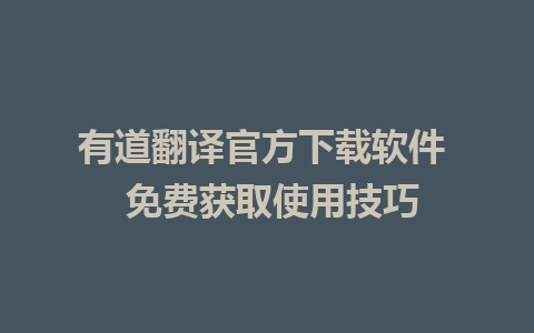 有道翻译官方下载软件  免费获取使用技巧