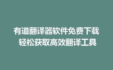 有道翻译器软件免费下载 轻松获取高效翻译工具