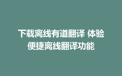 下载离线有道翻译 体验便捷离线翻译功能